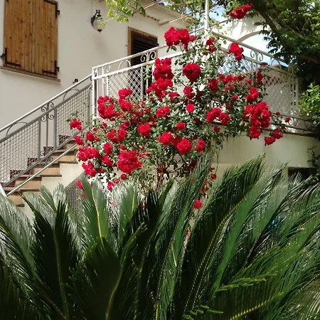 Noi Due 3* Rimini
