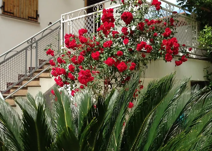 Noi Due 3* ريميني